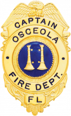 Badge Express Eagle Topped badge  S528