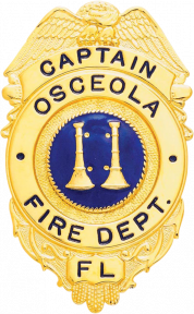 Eagle Topped Badge S528