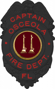 Matte Black Eagle Topped Badge S528_MBK