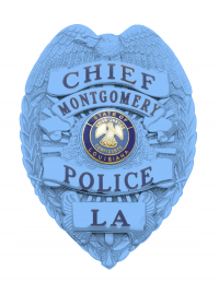 Autism Awareness Eagle Topped Badge S536_BL