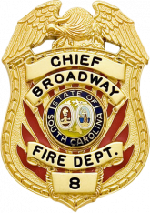 Eagle Topped Shield Type Badge S-554