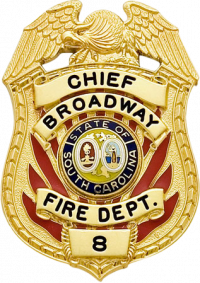 Eagle Topped Shield Type Badge S-554