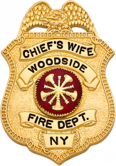 Eagle Topped Shield Type Badge S-566