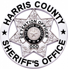 7 point star badge in circle S590