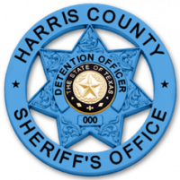 7 point star Autism Awareness badge in circle S590_BL