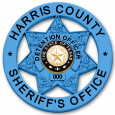 7 point star Autism Awareness badge in circle S590_BL