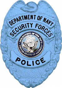 Autism Awareness Eagle Topped Badge S-627_BL