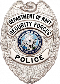 Eagle Topped Badge S-627