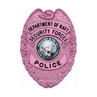 Cancer Awareness Eagle Topped Badge S-627_PK