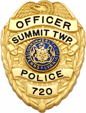 Eagle Topped Badge S-629