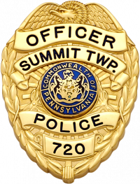 Eagle Topped Badge S-629