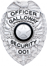 Eagle over shield badge S658