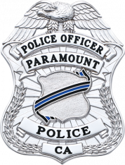 Eagle Topped Shield Type Badge S-663