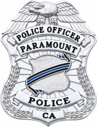 Eagle Topped Shield Type Badge S-663