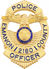 Eagle Badge Flag Draped badge S671-AP