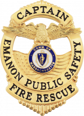 Eagle Badge Flag Draped badge S671-P