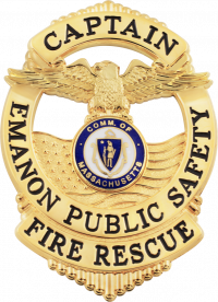 Eagle Badge Flag Draped badge S671-P