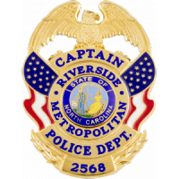 Flag draped eagle topped badge  S692E