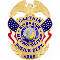 Flag draped eagle topped badge  S692E