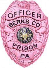 Cancer Awareness Eagle Topped Badge S-89_PK