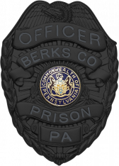 Matte Black Eagle Topped Badge S-89_MBK