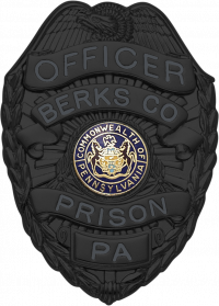 Matte Black Eagle Topped Badge S-89_MBK