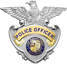 Eagle topped badge S90A