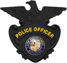 Matte Black Eagle topped badge S90A_MBK