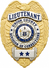 Eagle Topped badge S-91T