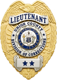 Eagle Topped badge S-91T