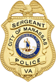 Eagle Topped Shield Badge S-96