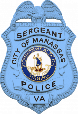 Eagle Topped Shield Badge S-96_BL