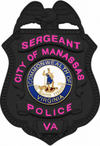 Matte Black Eagle Topped Shield Badge S-96_MBK