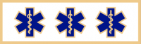 Three EMS Symbols service award SAB3_177