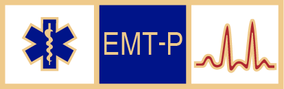 EMT-P service award SAB3_303: Badges Ex Cetera