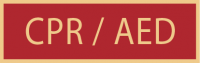 CPR/AED  service award SAB3_333