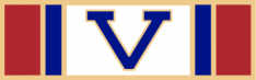 Six panel with V in center service award SAB3_539