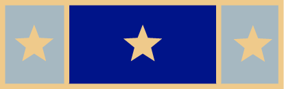 Three panel with 3 stars in die service award SAB3_566: Badges Ex Cetera