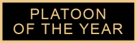 Platoon of the Year service award SAB3_570