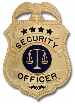 Security Badge Stock Illustrations – 97,451 Security Badge Stock
