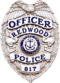 Eagle topped badge SB1901