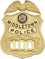 Eagle Topped Shield Type Badge  SB-830