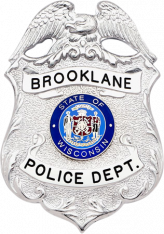 Eagle over shield badge SH222