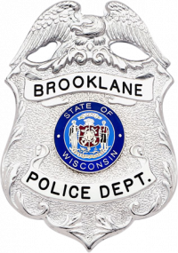 Eagle over shield badge SH222