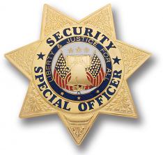 W Series Security Special Officer Badge - W61