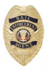 W Series Bail Enforcement Officer Badge - W95