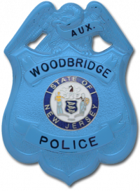 Eagle over shield Badge S222_BL