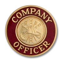 Company Officer collar insignia 6863