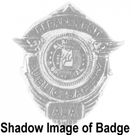 Alabama Department of Public Safety Badge