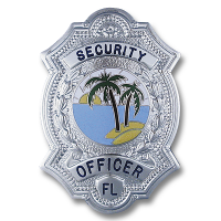 Badge without Eagle B5915